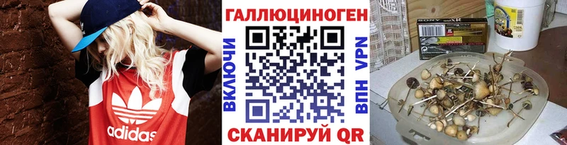 Псилоцибиновые грибы Cubensis Электросталь