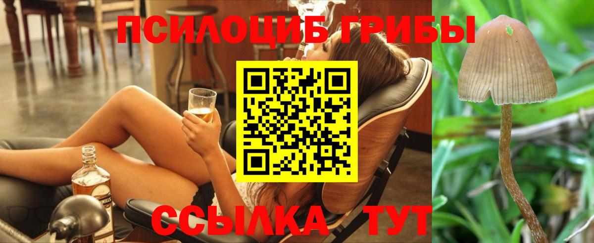 Галлюциногенные грибы мицелий Электросталь