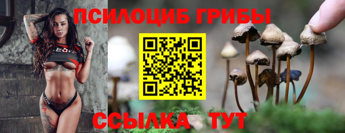 Галлюциногенные грибы мицелий  Вход с VPN  Электросталь 